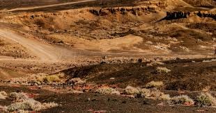 马斯切拉诺：梅西整个赛季都令人惊叹，他来这就是为了奖杯