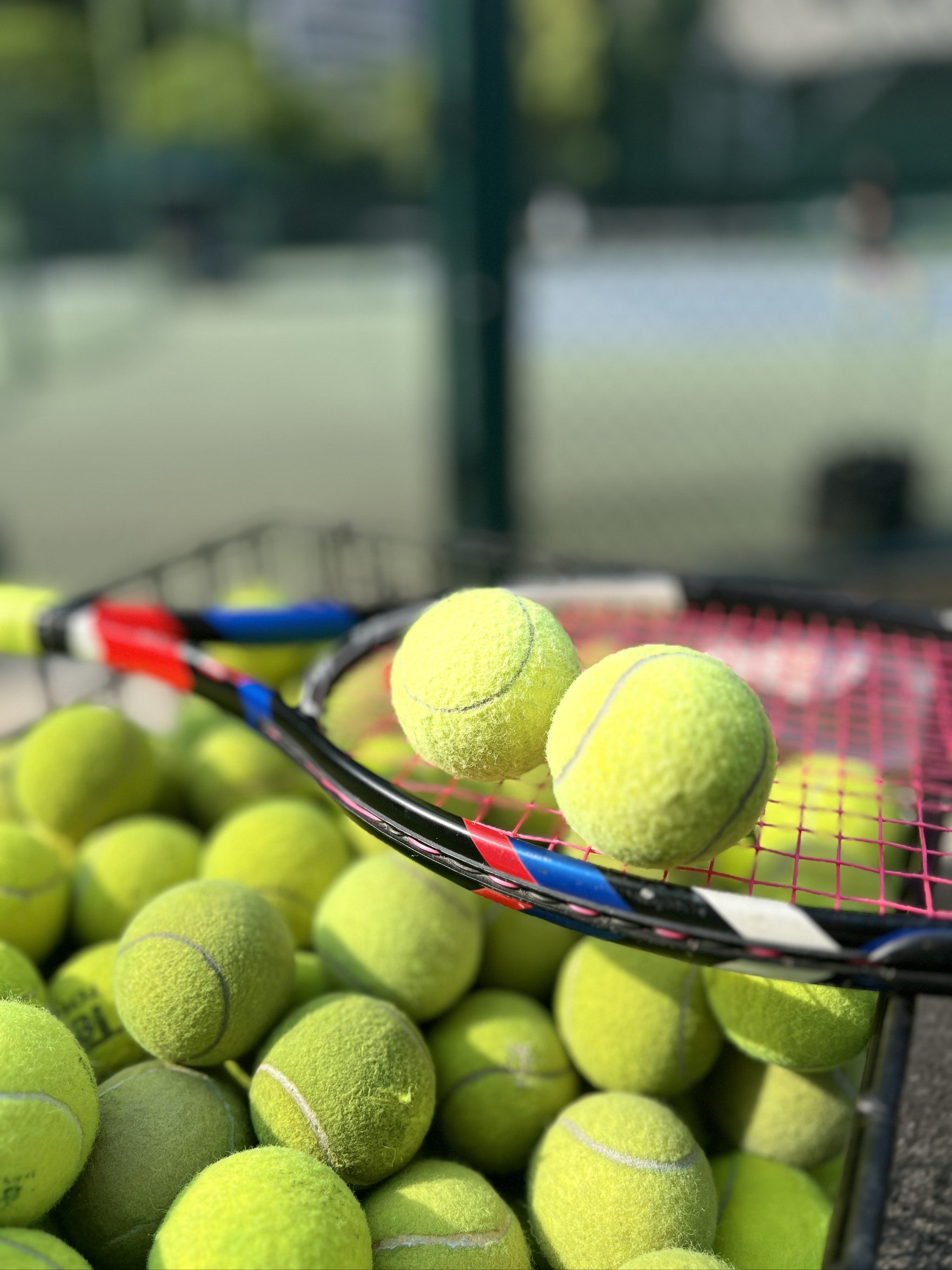 身房都容易 身房都容易